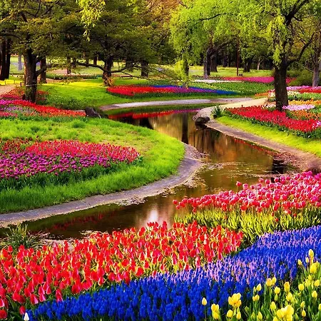 호텔 Boutique - Keukenhof 4*