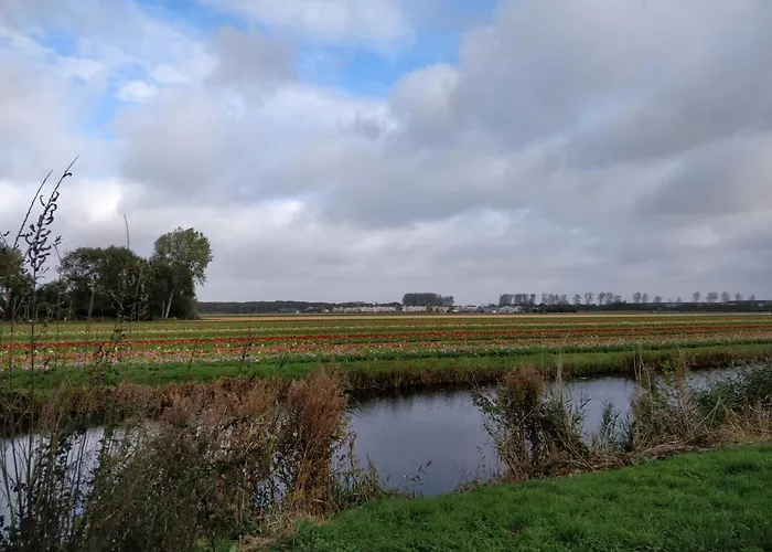 Boutique - Keukenhof 4*