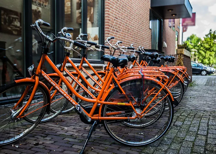 Hotel Boutique - Keukenhof